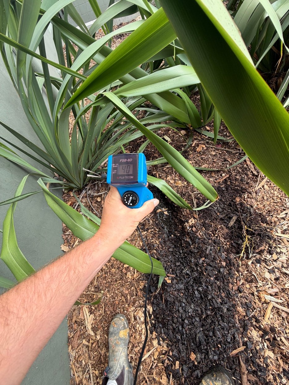 Non-Invasive Detection Greenlane